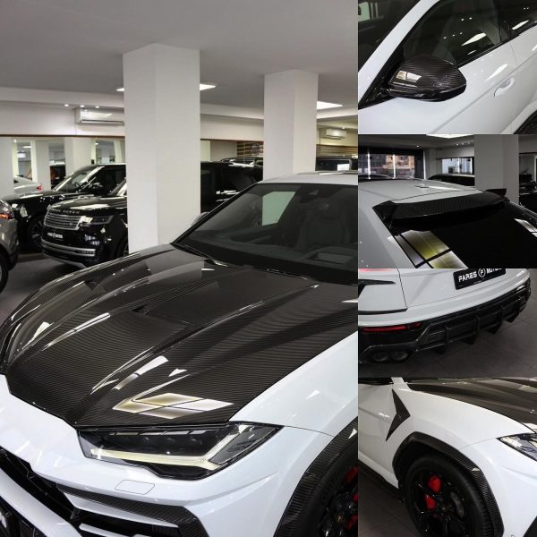 2019 Lamborghini Urus - Image 10